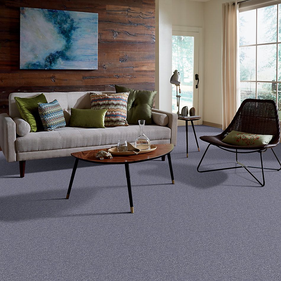 Shaw Floors Value Collections Passageway 1 12 Net Periwinkle 00408_E9152