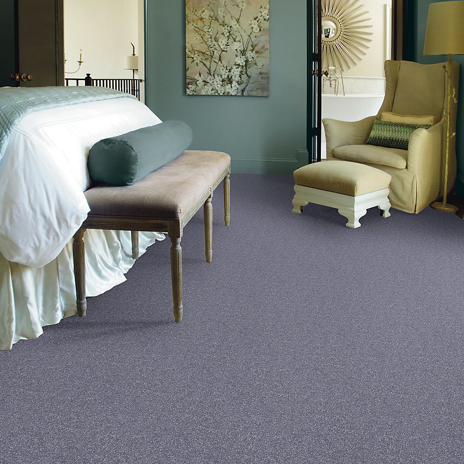 Shaw Floors Value Collections Passageway 3 Net Periwinkle 00408_E9377