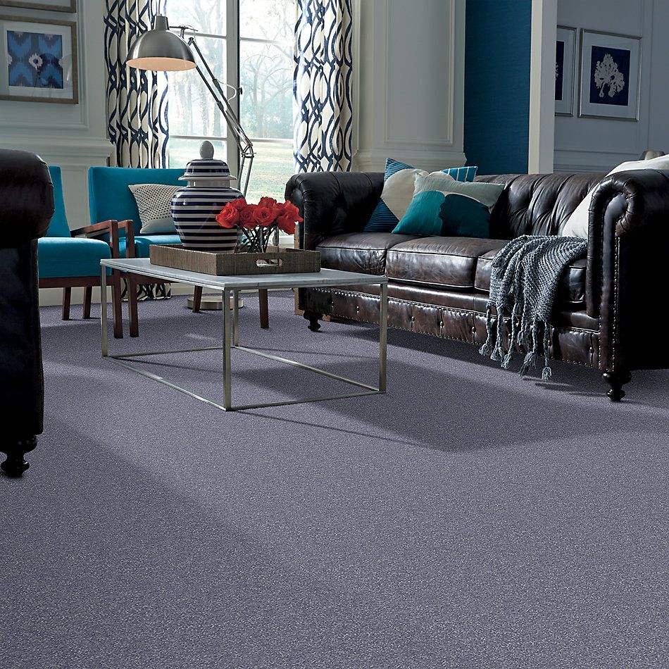 Shaw Floors Value Collections Passageway 3 Net Periwinkle 00408_E9377