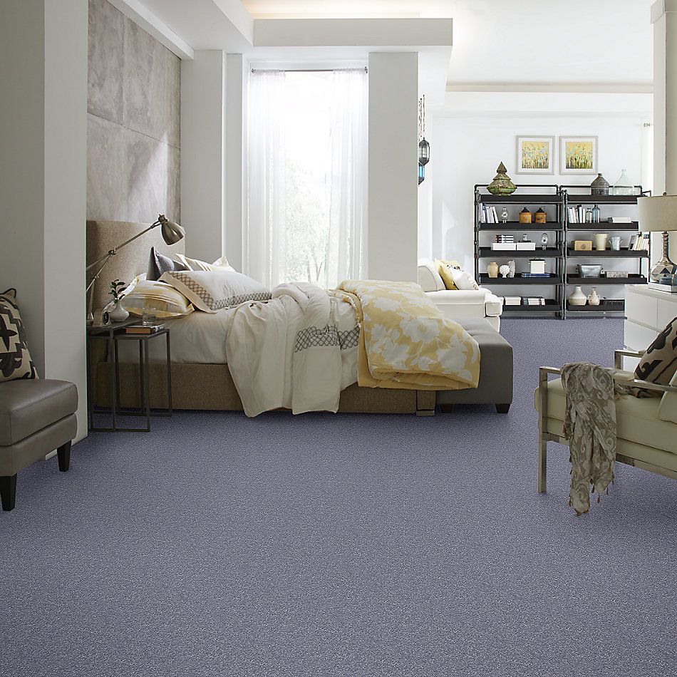 Shaw Floors Value Collections Passageway I 15 Net Periwinkle 00408_E9620