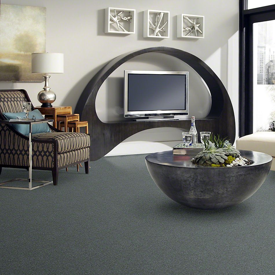 Shaw Floors Shaw Flooring Gallery Embark Refreshing 00412_5506G