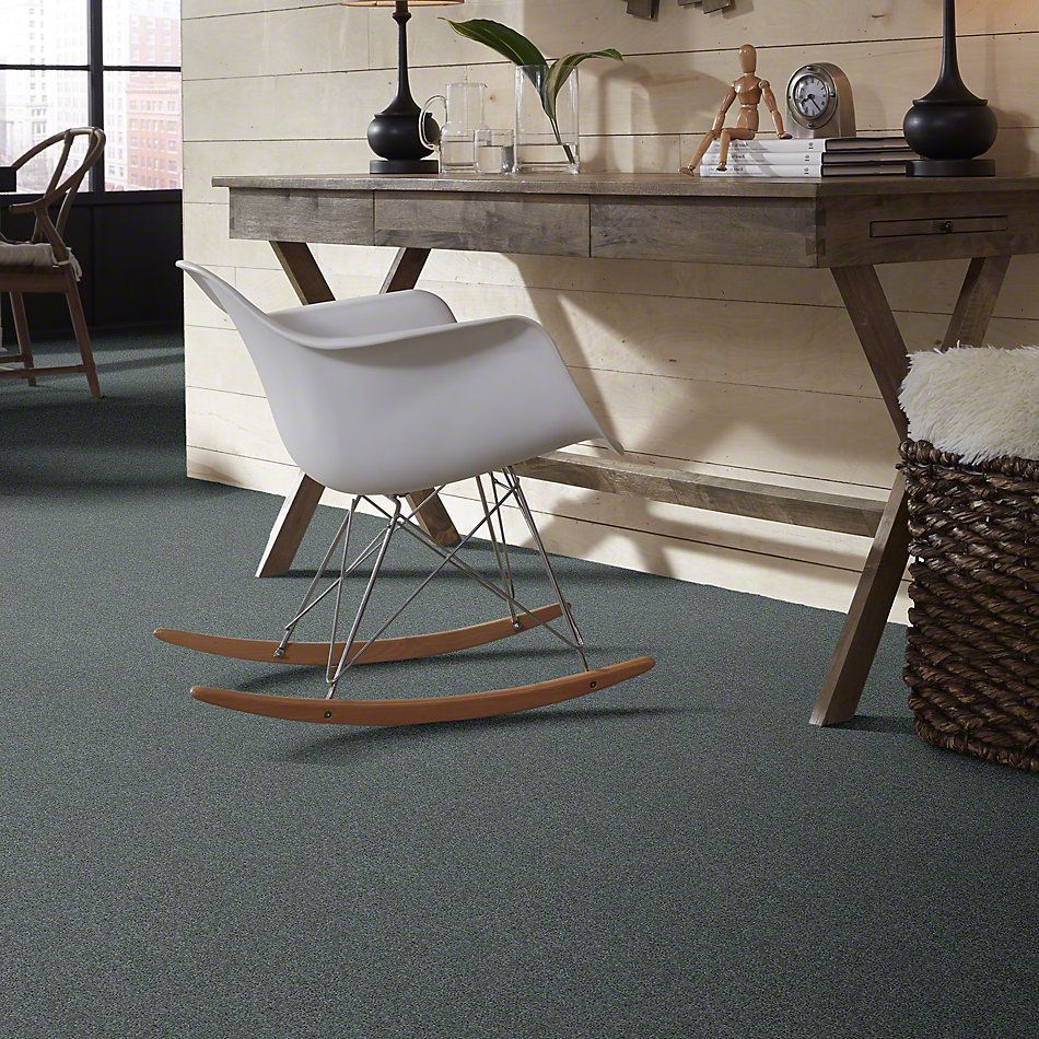 Shaw Floors Shaw Flooring Gallery Embark Refreshing 00412_5506G