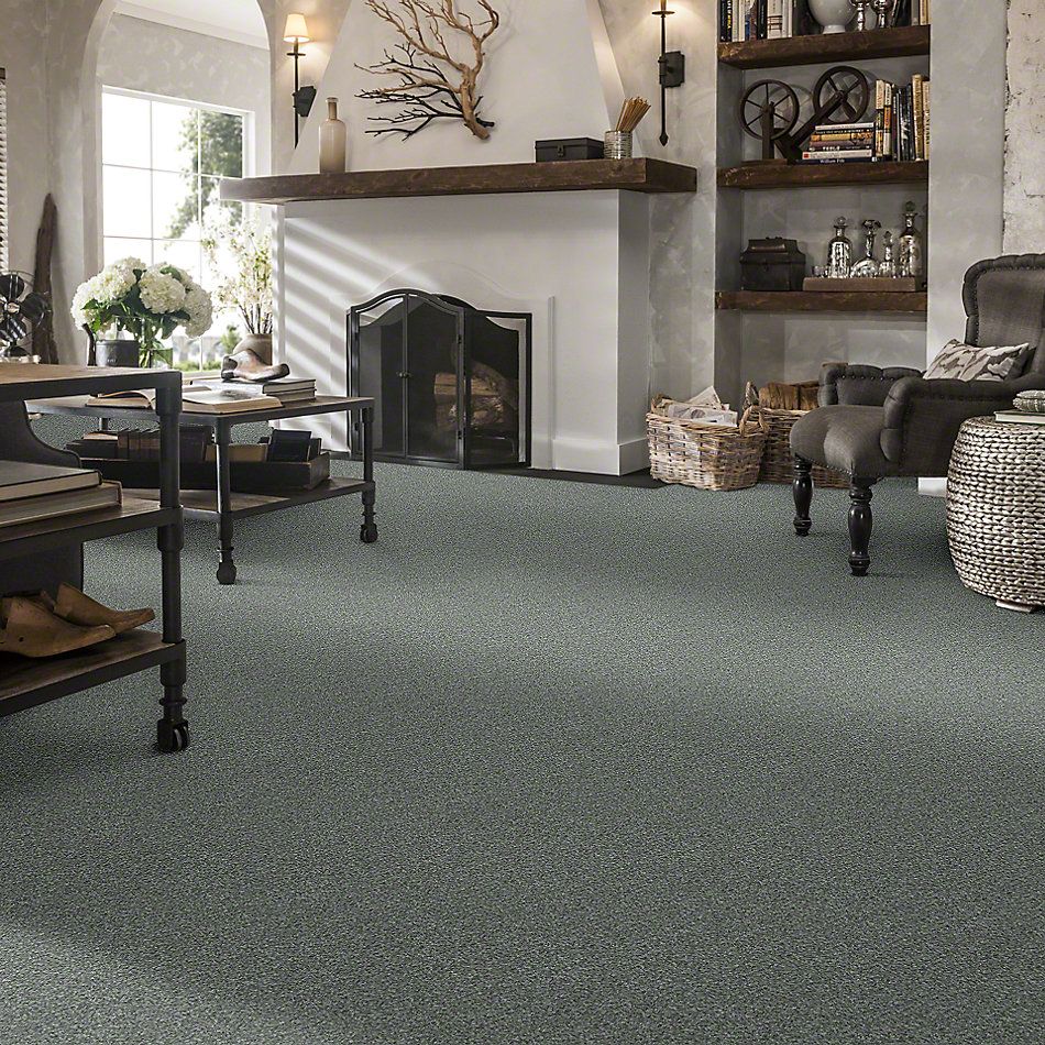 Shaw Floors Shaw Flooring Gallery Canvas Refreshing 00412_5518G