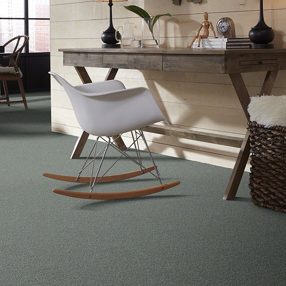 Shaw Floors Shaw Flooring Gallery Canvas Refreshing 00412_5518G