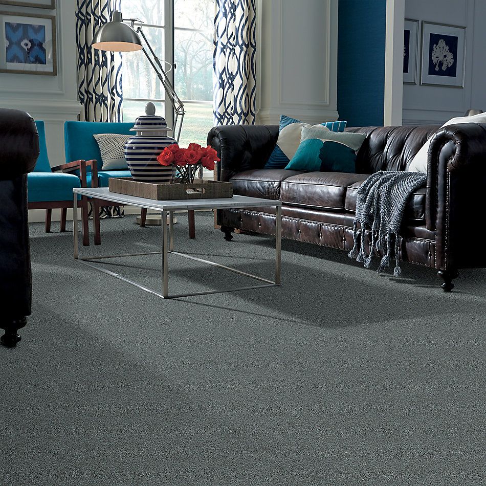 Shaw Floors Nfa/Apg Phenomenal Refreshing 00412_NA260