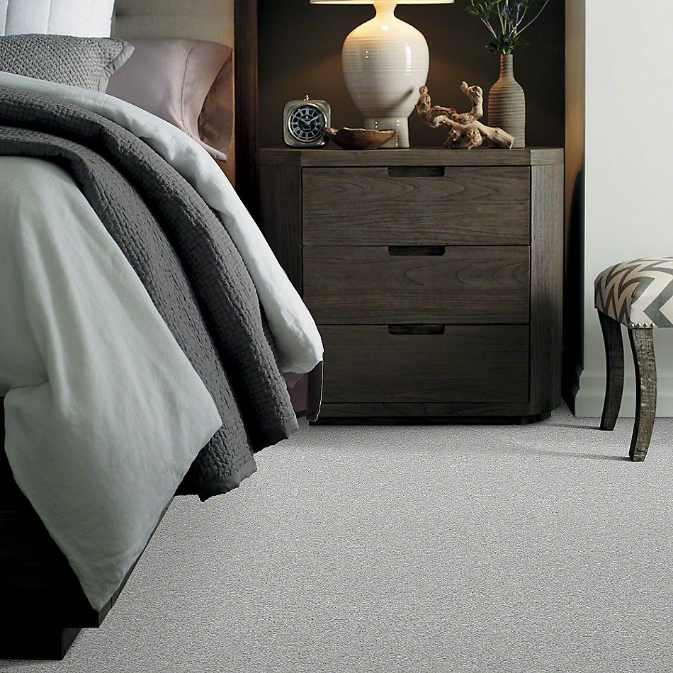 Shaw Floors Shaw Flooring Gallery Canvas Drizzle 00414_5518G