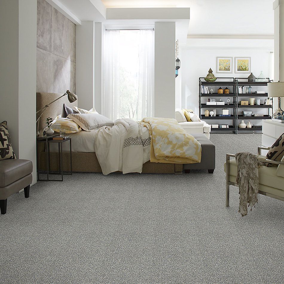 Shaw Floors Value Collections 300sl 12′ Net Peaceful Mood 00420_E9609