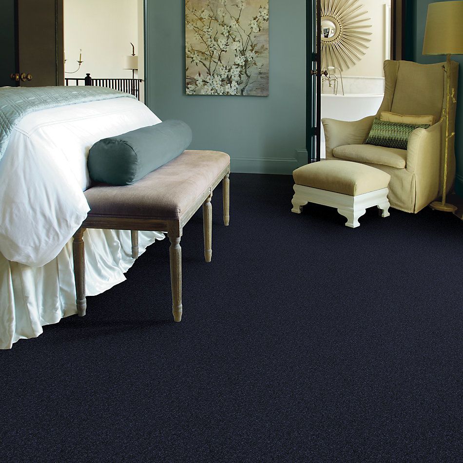 Shaw Floors Nfa/Apg Barracan Classic I Deep Indigo 00424_NA074