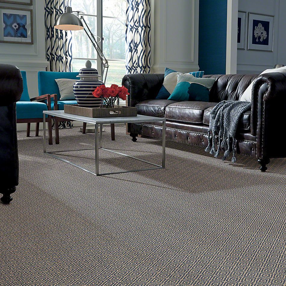 Shop Anderson Tuftex Stroll Stillwater 00427 Zz050 Carpet Webb Carpet Company