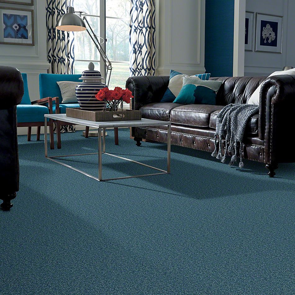 Shaw Floors Value Collections Newbern Classic 12′ Net Ocean 00430_E9198
