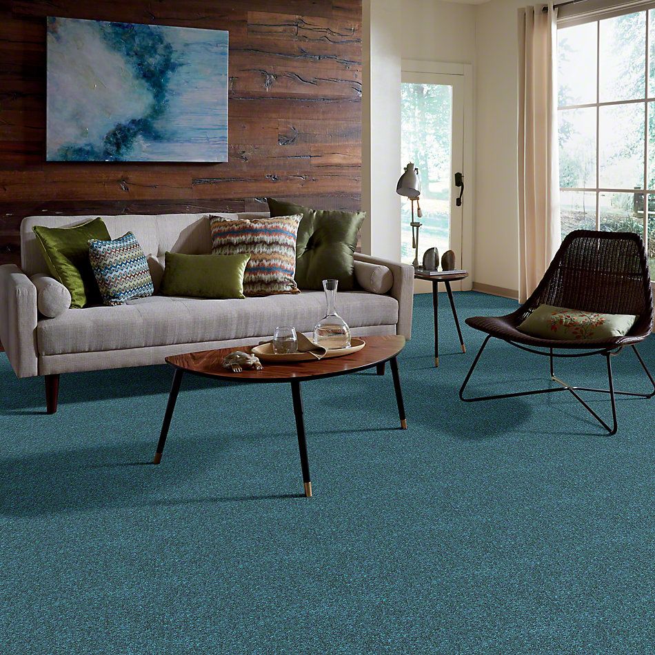 Shaw Floors Value Collections Dyersburg Classic 12 Net Ocean 00430_E9206