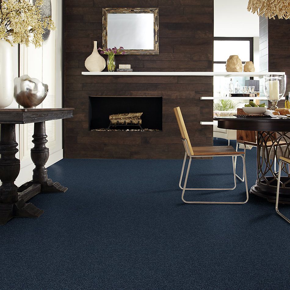 Shaw Floors Caress By Shaw Cozy Harbor I Net Ocean Villa 00436_5E364