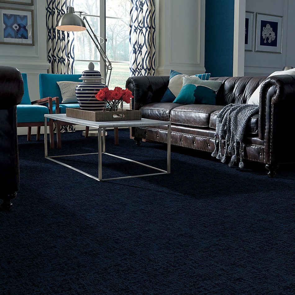Shaw Floors Caress By Shaw Fine Structure Net Ocean Villa 00436_5E370