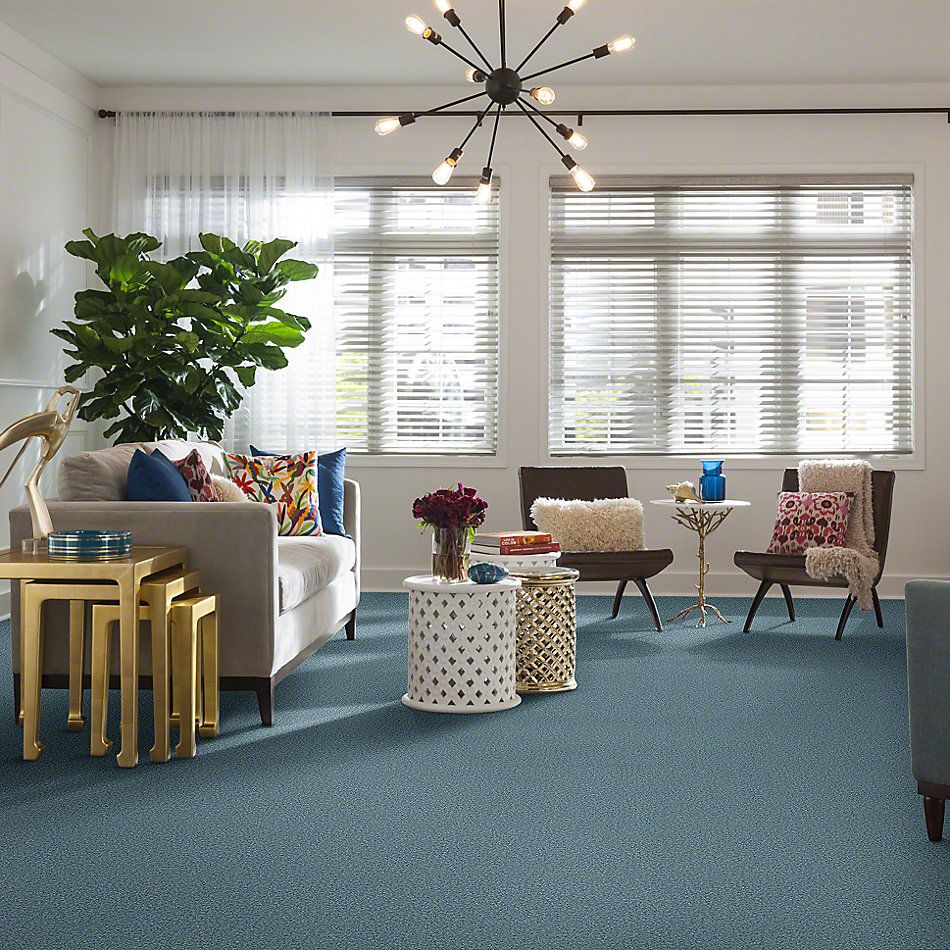 Shaw Floors Full Court 12′ Caribbean Coast 52Y46_00440