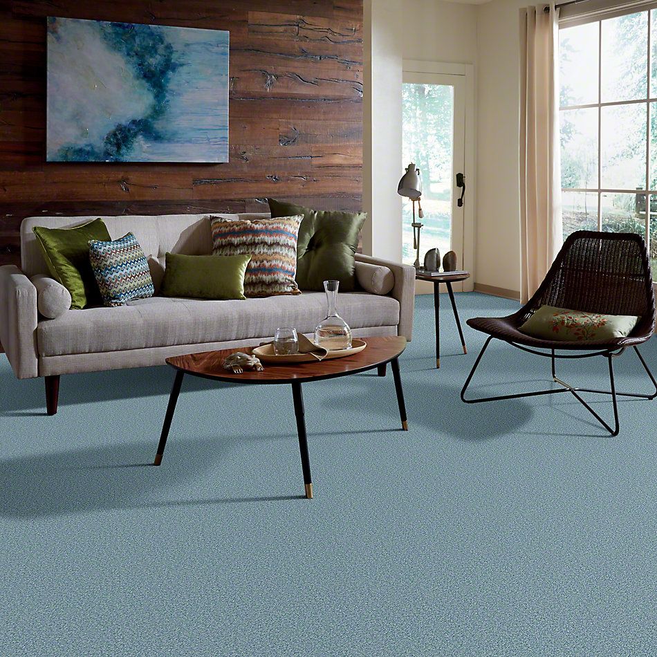 Shaw Floors Full Court 12′ Caribbean Coast 52Y46_00440