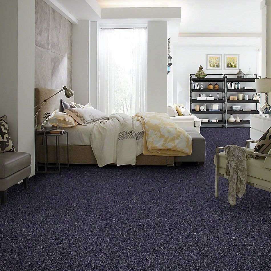 Shaw Floors SFA Drexel Hill II 12′ Caribbean Coast 00440_EA054