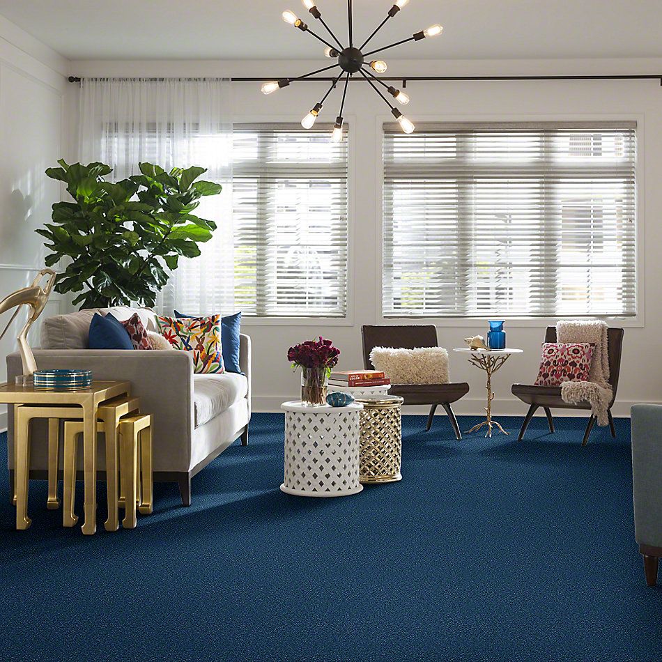 Shaw Floors Full Court 12′ Indigo 52Y46_00441