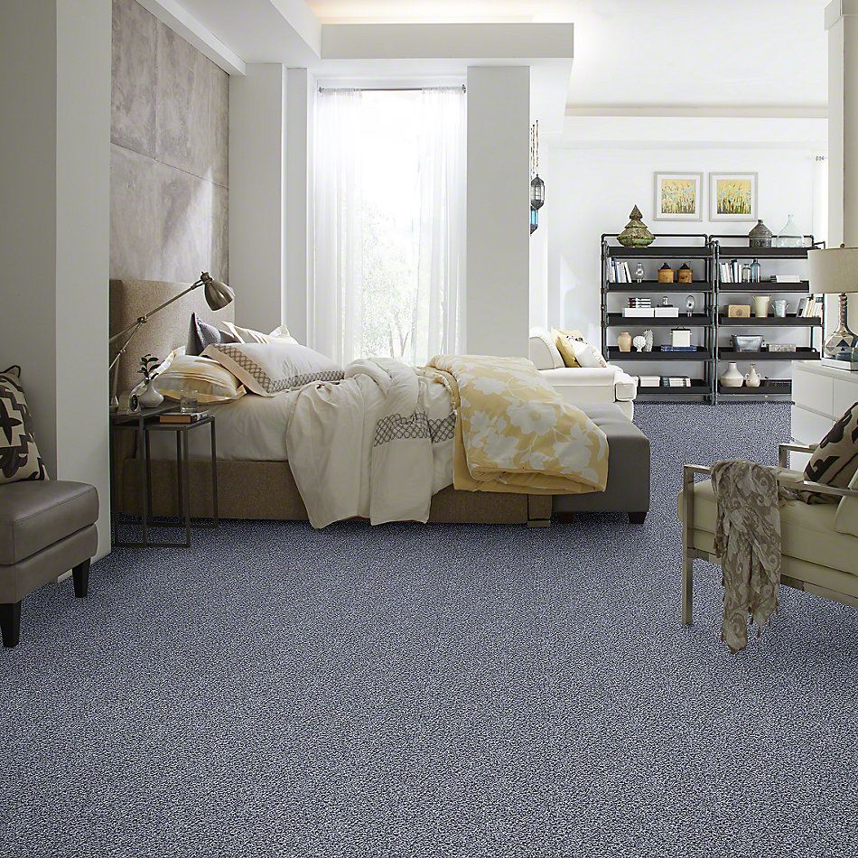 Anderson Tuftex Shaw Design Center Exhilaration Blue Bell 00442_169SD