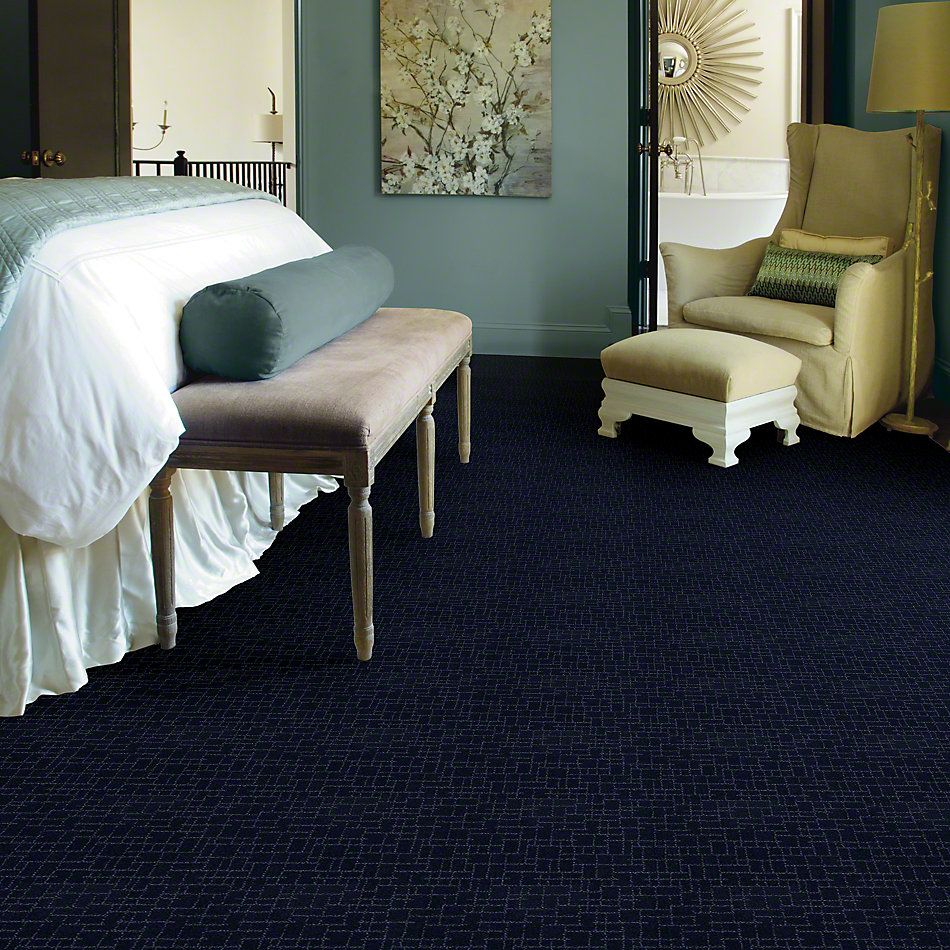 Shop Anderson Tuftex Faux Paw Downpour 00445 Zz084 Carpet Reinhold Flooring
