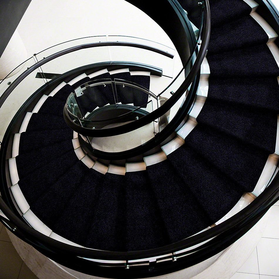 Anderson Tuftex Shaw Design Center Exhilaration Midnight 00449_169SD