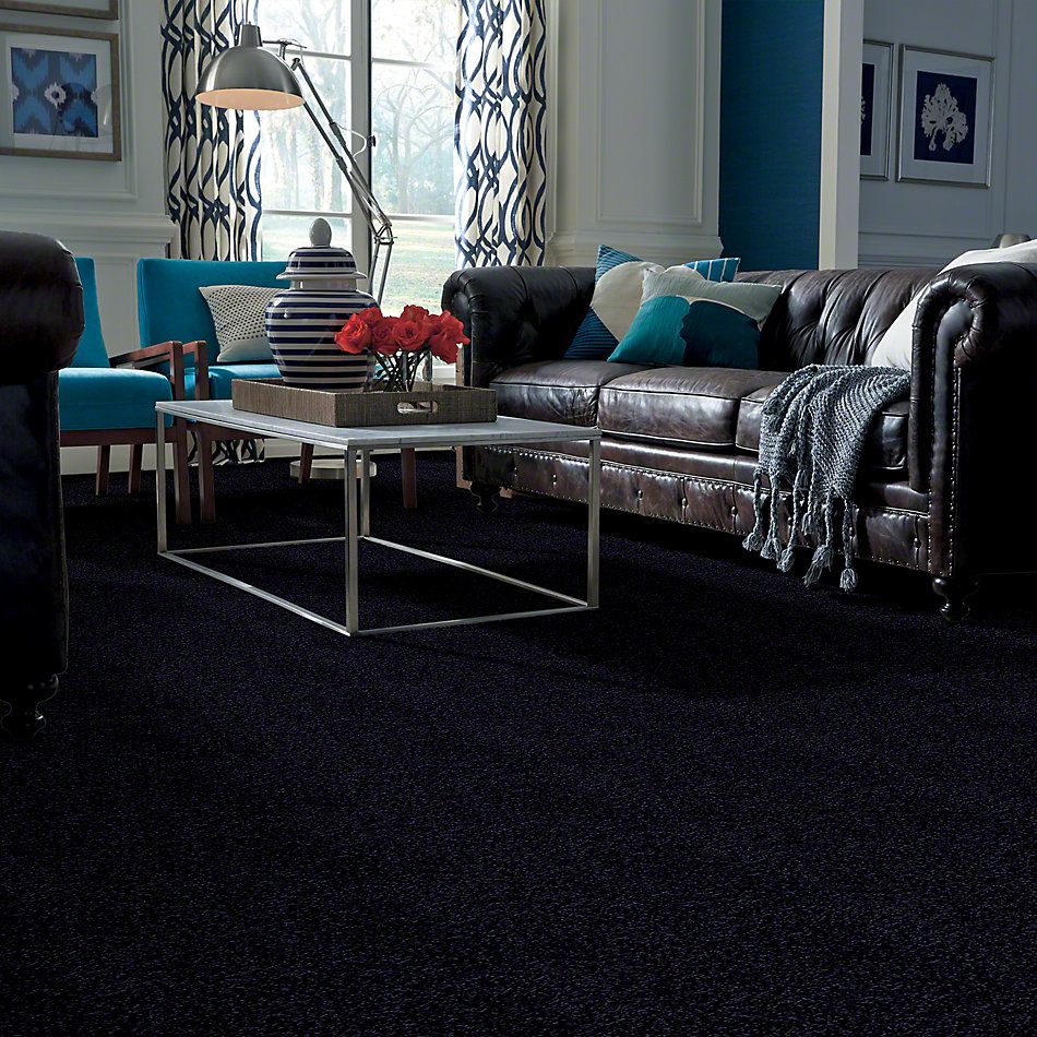Anderson Tuftex Uptown Girl Fun, Fun Midnight 169AG_00449