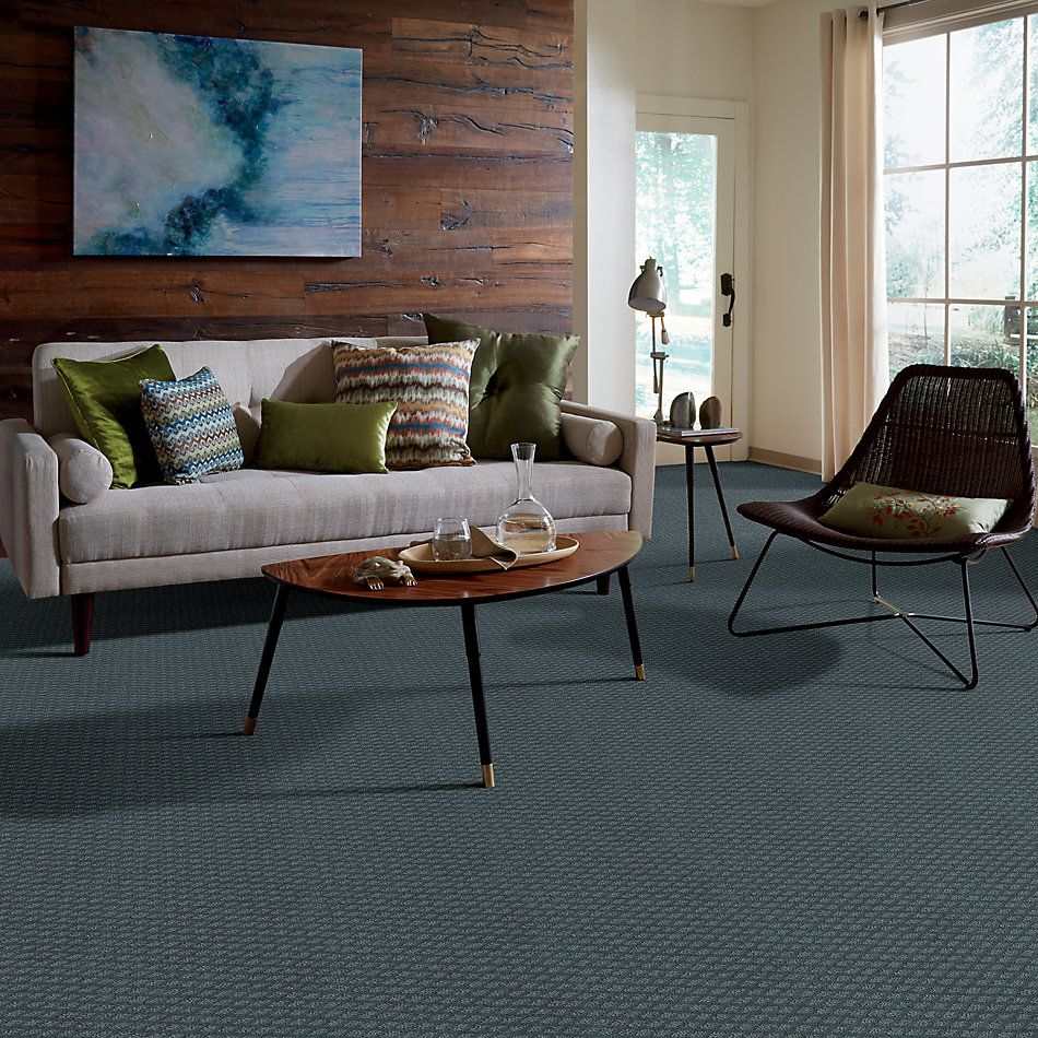 Shaw Floors Value Collections Entwined With You Net Voyage 00480_E9809