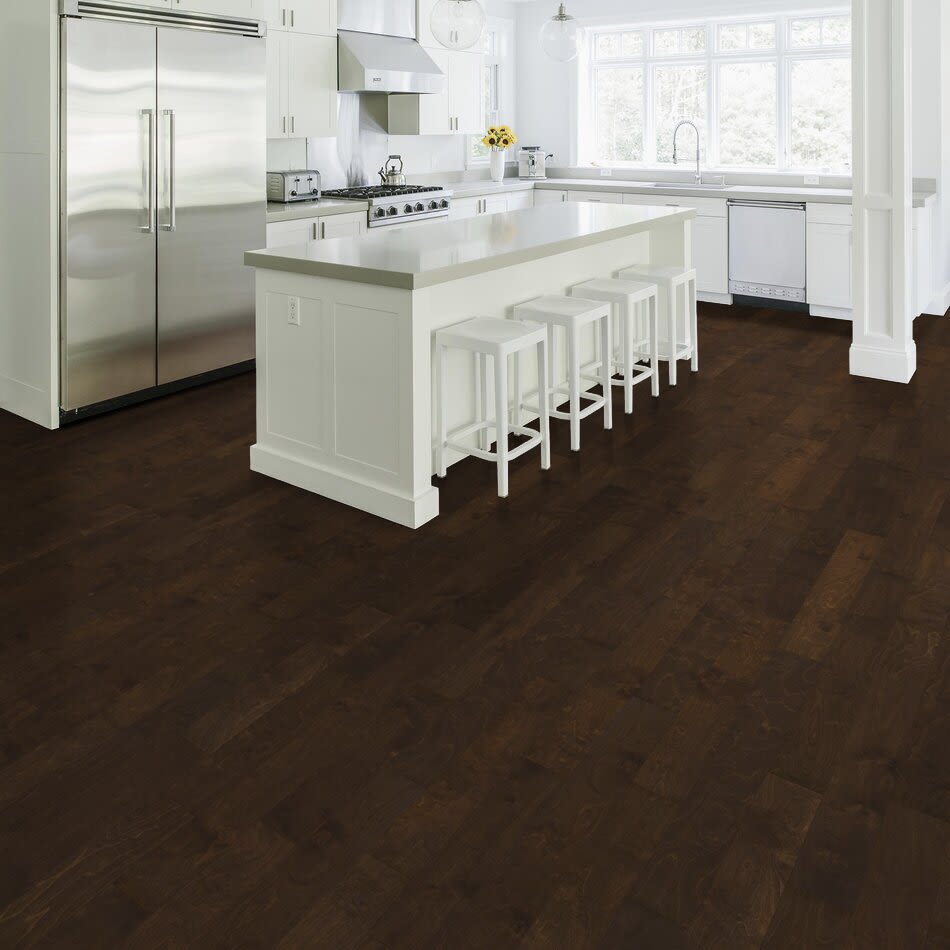 Shaw Floors Carpets Plus Design Values Collection Cottonwood Birch Bayfront 00493_CH878