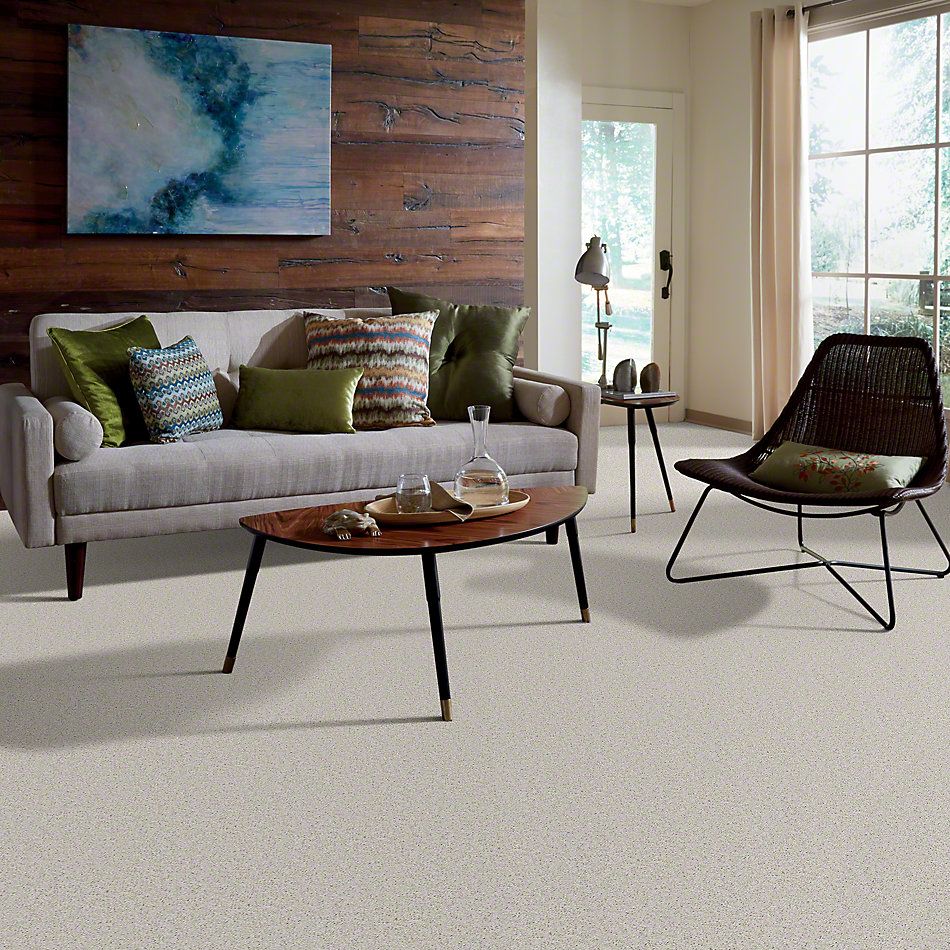 Shaw Floors Cardinal Crystal Gray 52R37_00500