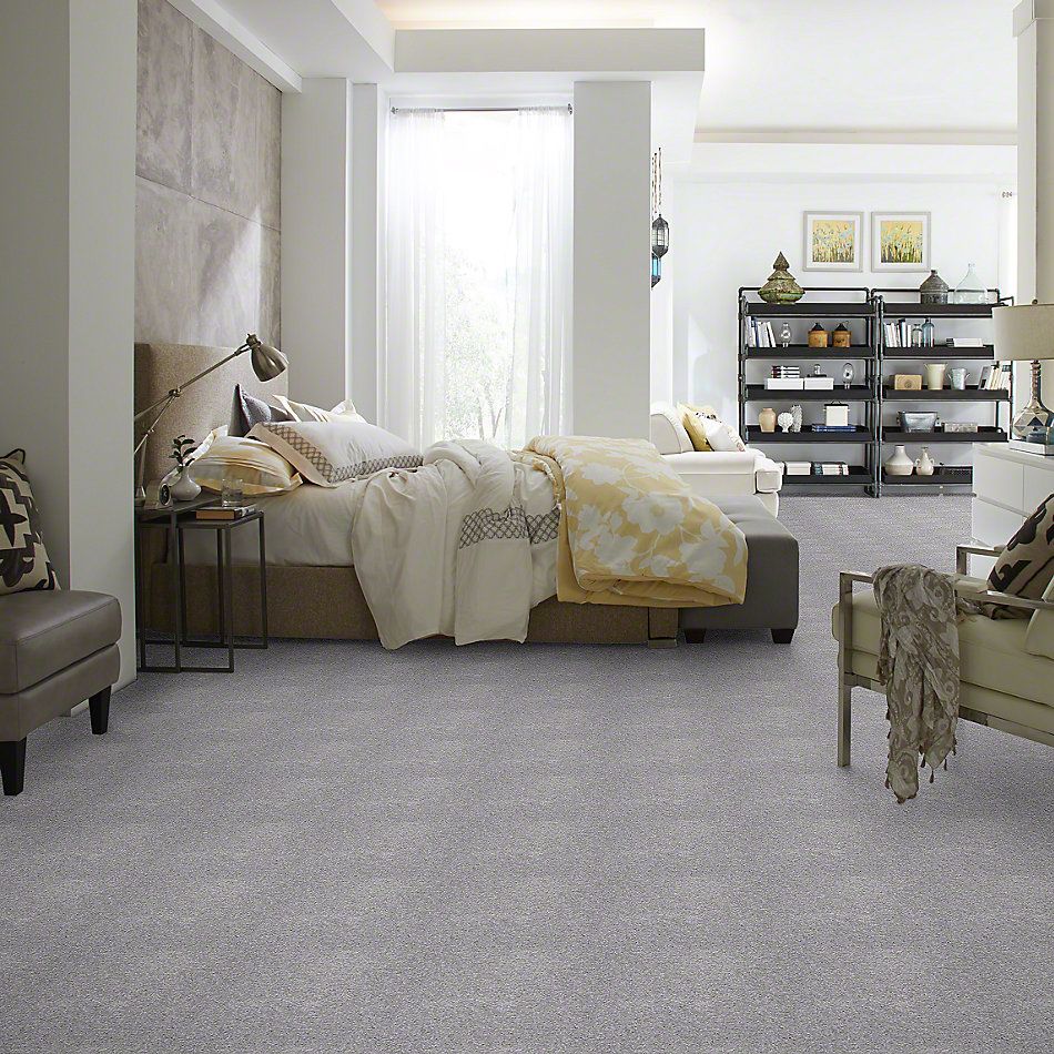 Shaw Floors Town Creek I 15′ Sterling 52V12_00500
