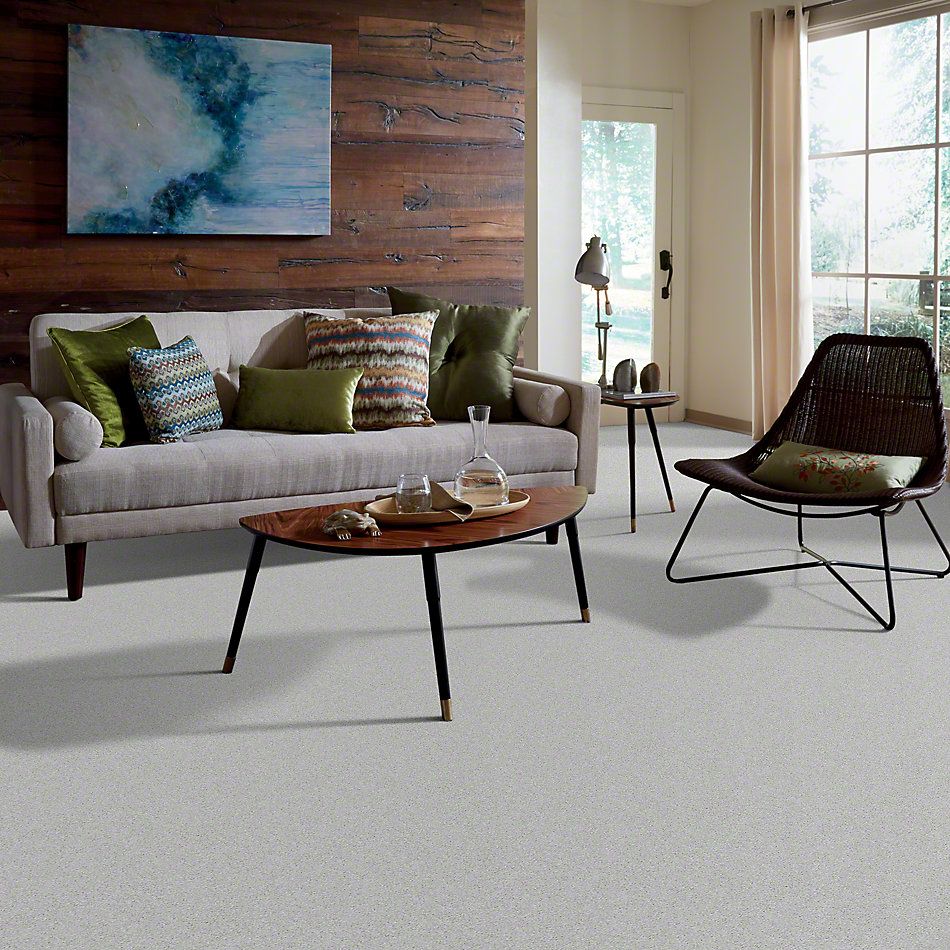 Shaw Floors Shaw Flooring Gallery Challenge Accepted II 15′ Sheer Silver 00500_5528G