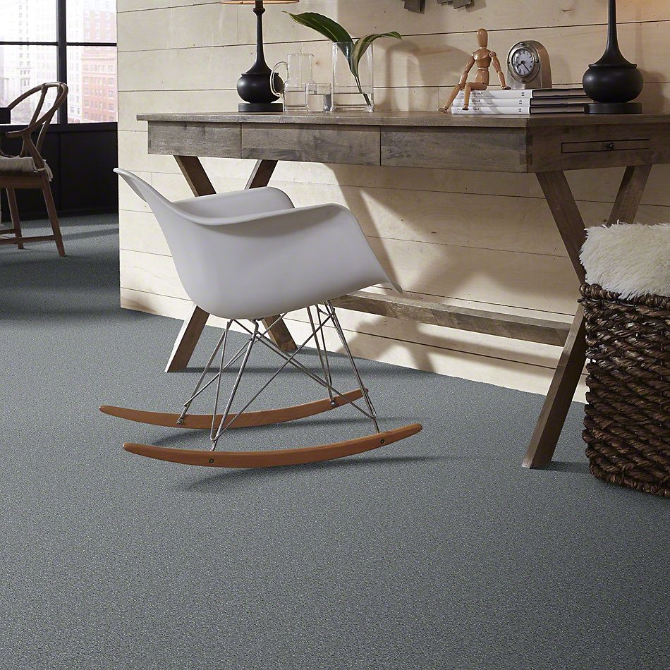 Shaw Floors Shaw Flooring Gallery Why Not Me Sterling 00500_5581G