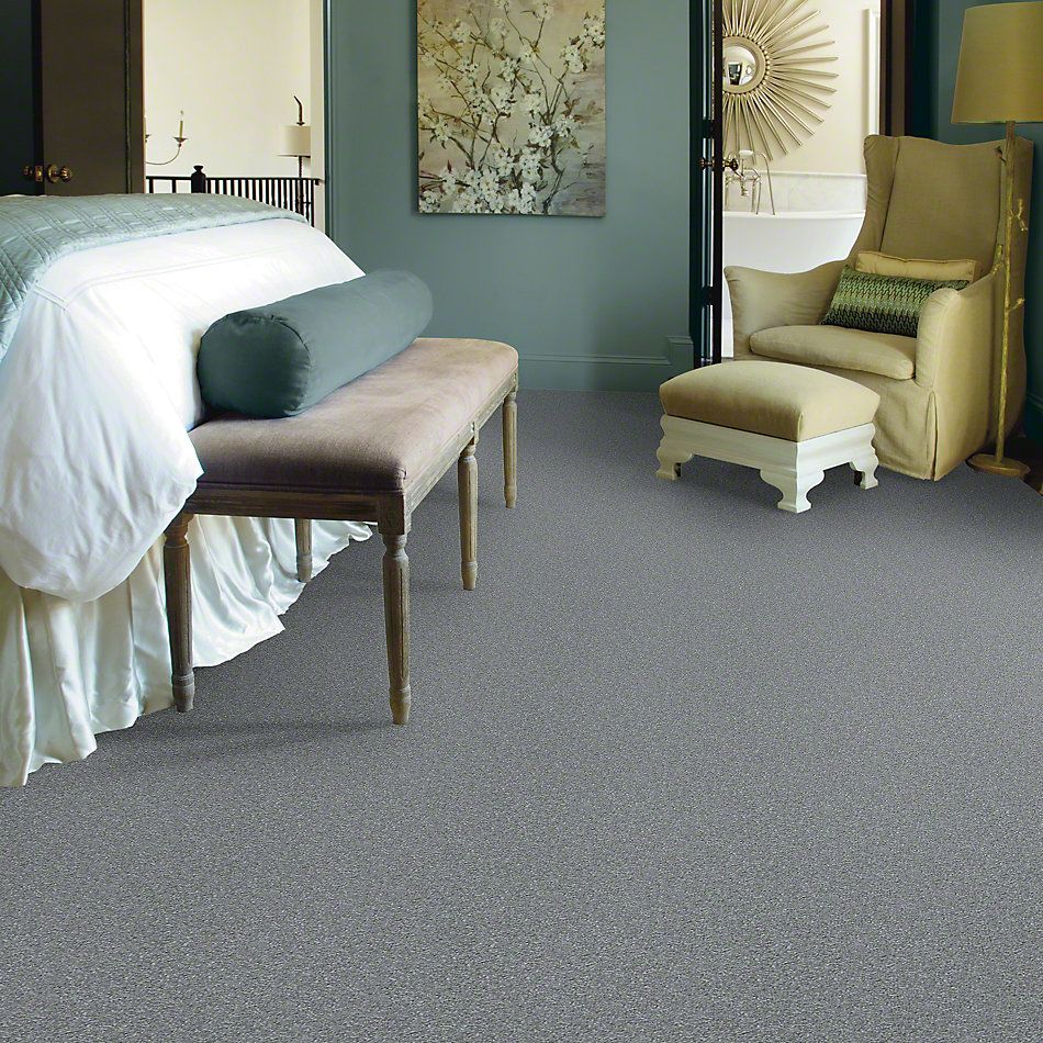 Shaw Floors Shaw Flooring Gallery Why Not Me Sterling 00500_5581G