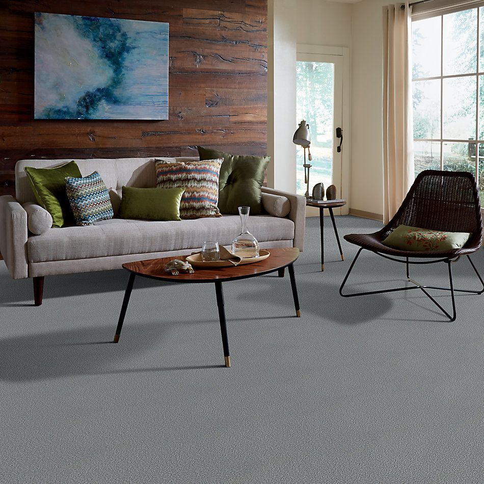 Shaw Floors Shaw Design Center Honest To Goodness Sterling 00500_5C793