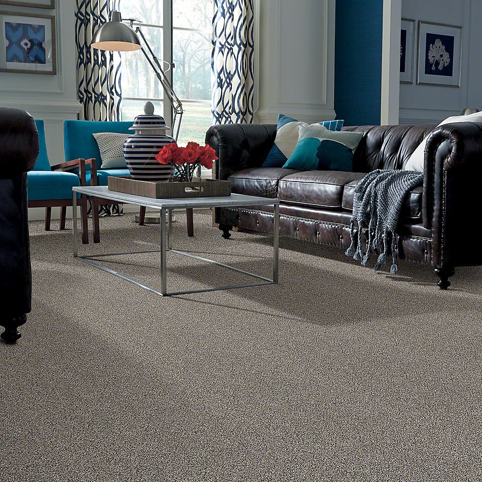 Shaw Floors Simply The Best All About It Net Castle 00500_5E052