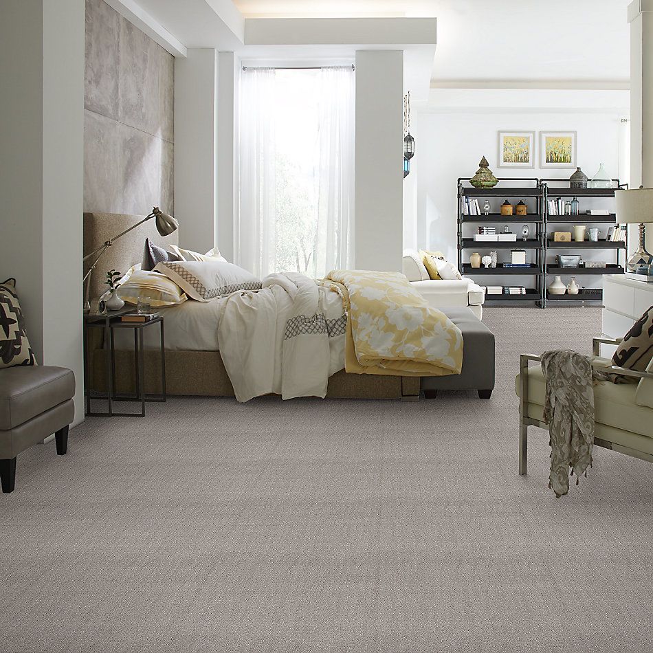Shaw Floors Value Collections Chic Nuance Net Silver Lining 00500_5E362