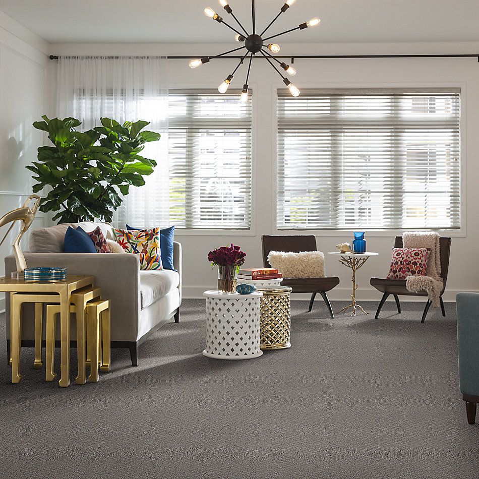 Shaw Floors Foundations Chic Shades Net Silver Lining 00500_5E363
