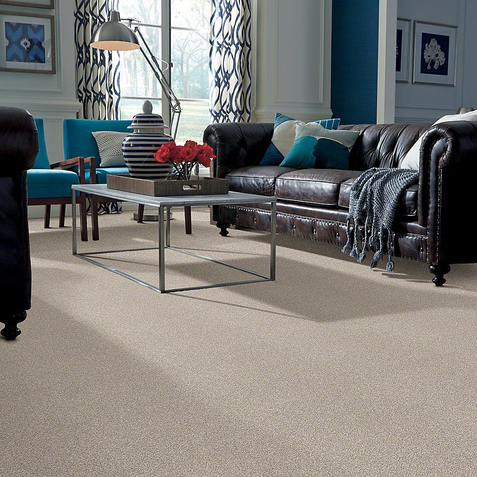 Shaw Floors Simply The Best Super Buy 45 Alpaca 00500_E9599