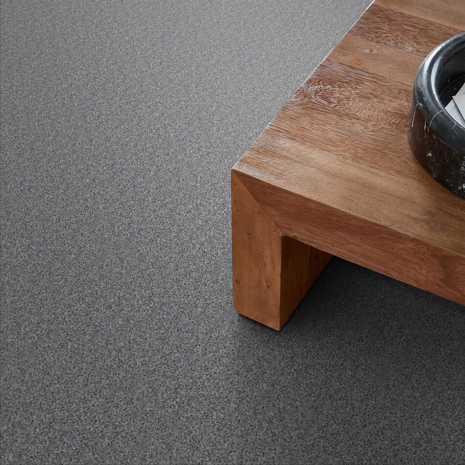 Shaw Floors Roll Special Bp110 Windy City 00500_BP110