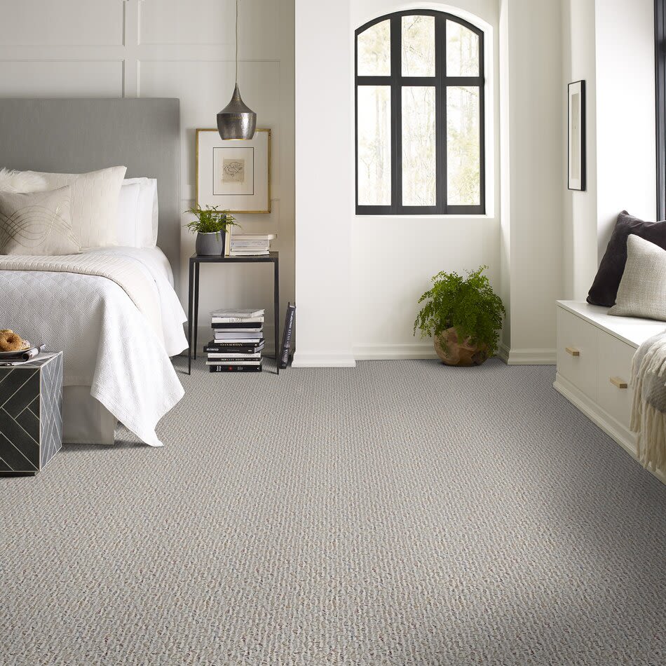 Shaw Floors Roll Special Bps26 Asteroid 00500_BPS26