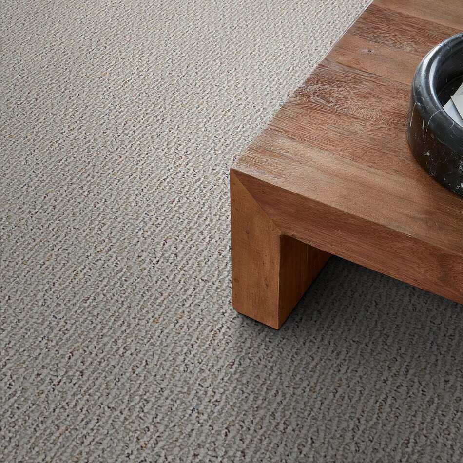Shaw Floors Roll Special Bps26 Asteroid 00500_BPS26