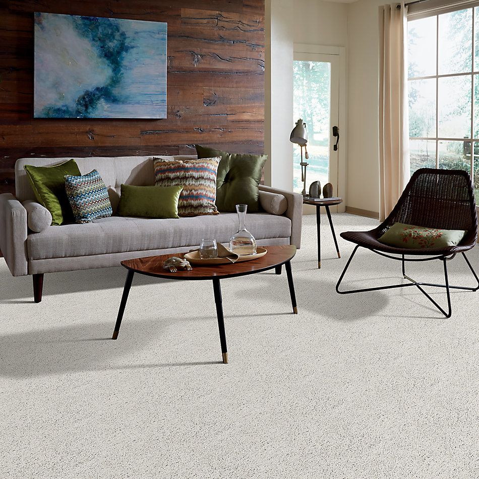 Shaw Floors Value Collections Rich Opulence Lg Net Glacier Ice 00500_CC46B