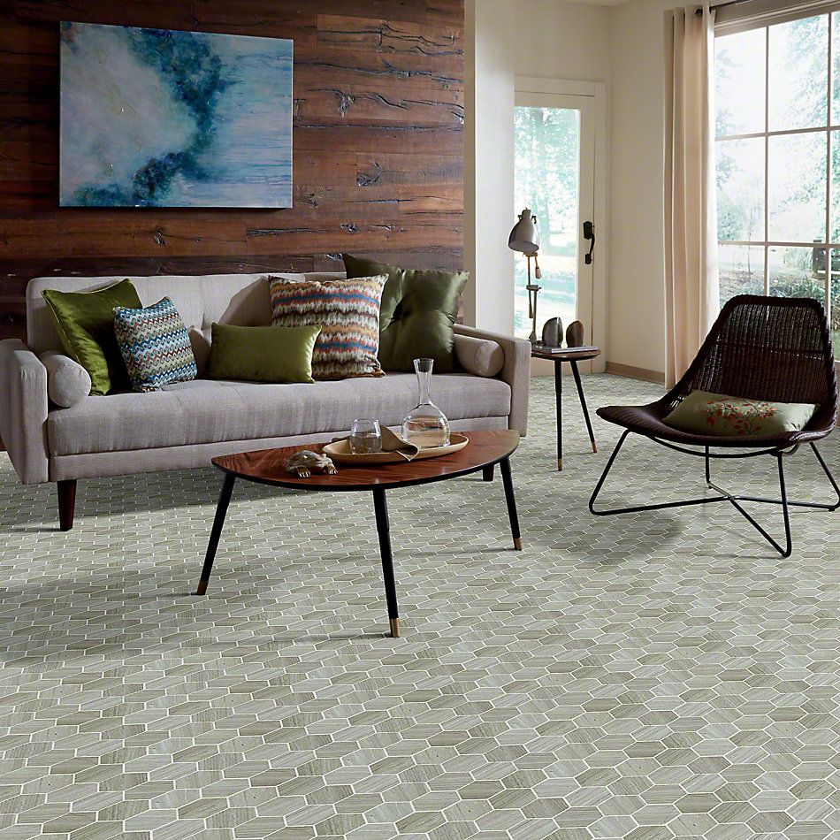 Shaw Floors Ceramic Solutions Chateau Hexagon Mosaic Rockwood 00500_CS56P