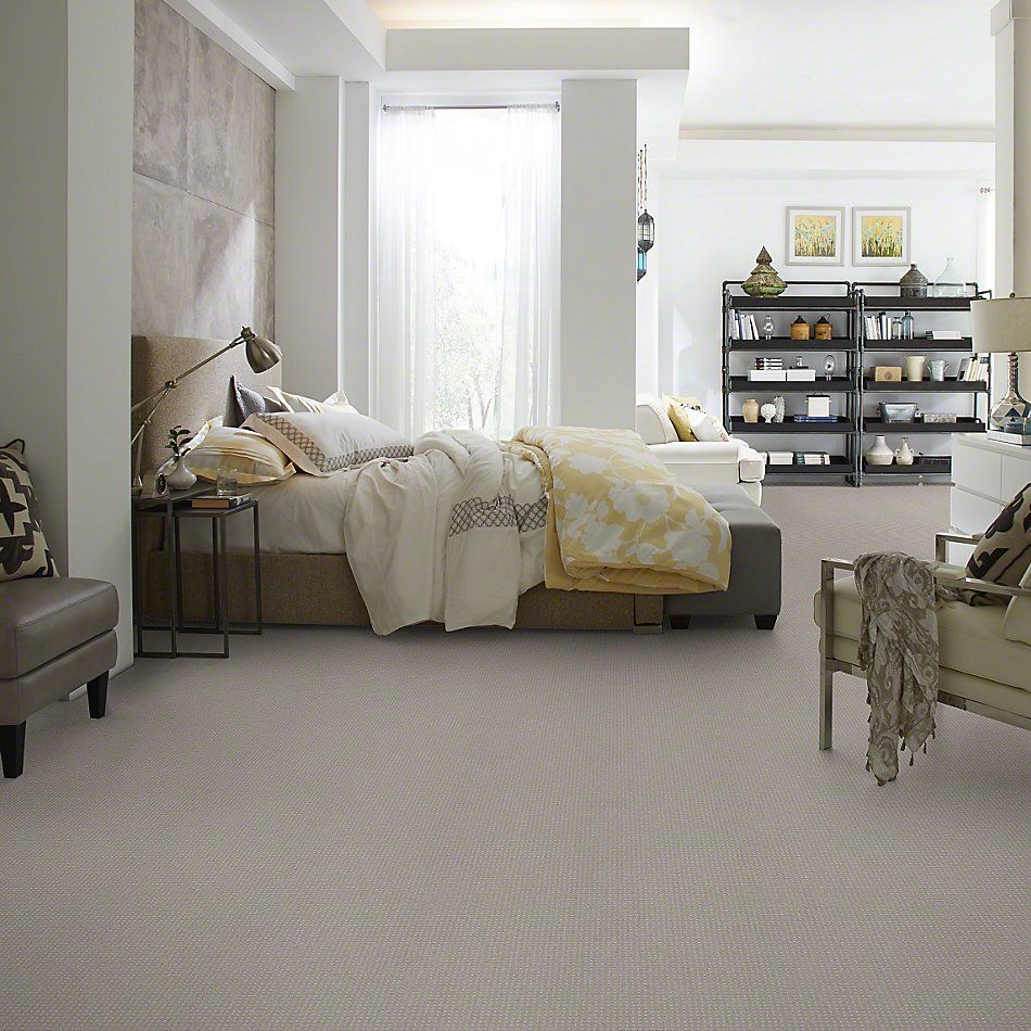 Shaw Floors Enduring Comfort Pattern Sheer Silver 00500_E0404