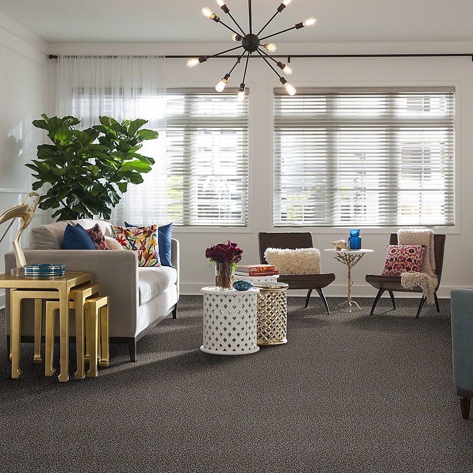 Shaw Floors Simply The Best Because We Can II 15 Alaskan Air 00500_E9259