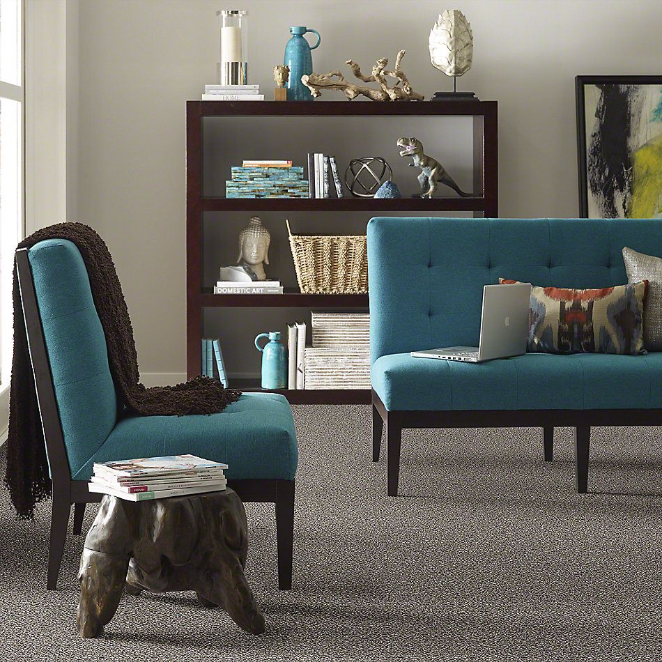 Shaw Floors Simply The Best Because We Can III 15′ Alaskan Air 00500_E9288
