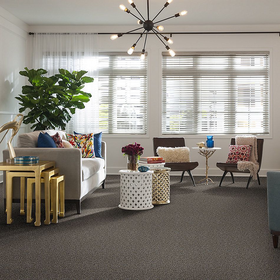 Shaw Floors Value Collections Shake It Up Net Burnt Ash 00500_E9595