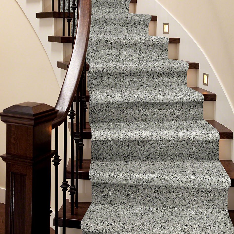 Shaw Floors Pet Perfect Plus Make Your Mark Platinum 00500_E9649