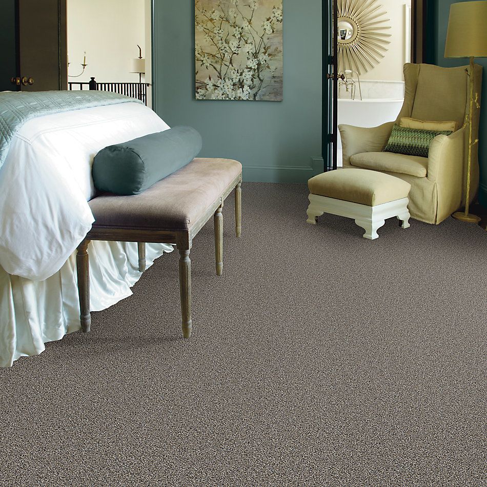 Shaw Floors Value Collections Shake It Up Tweed Net Burnt Ash 00500_E9858
