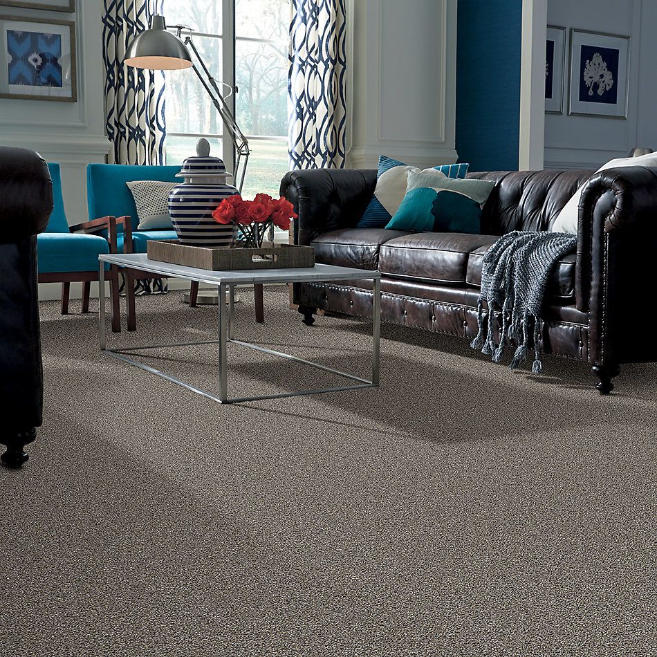 Shaw Floors Value Collections Shake It Up Tweed Net Burnt Ash 00500_E9858