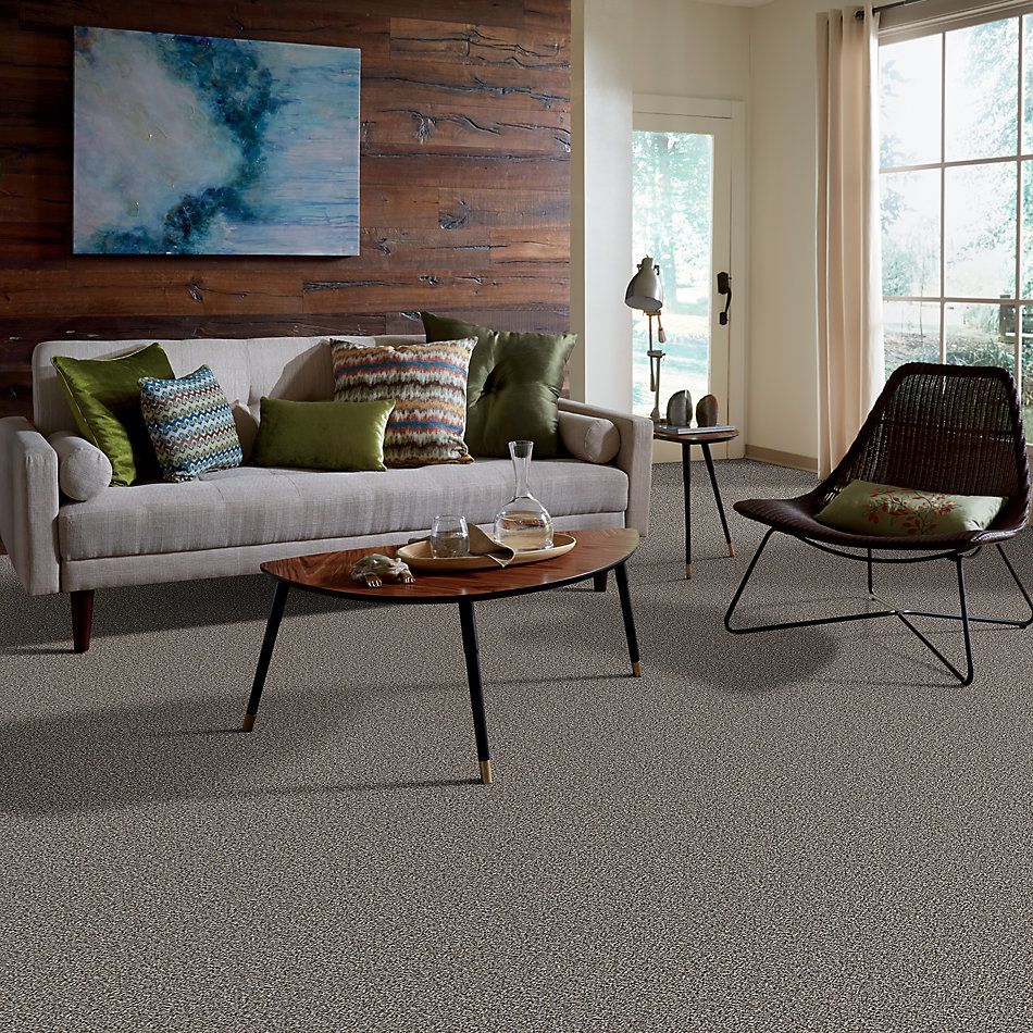 Shaw Floors Value Collections Accents For Sure 12′ Alaskan Air 00500_E9908